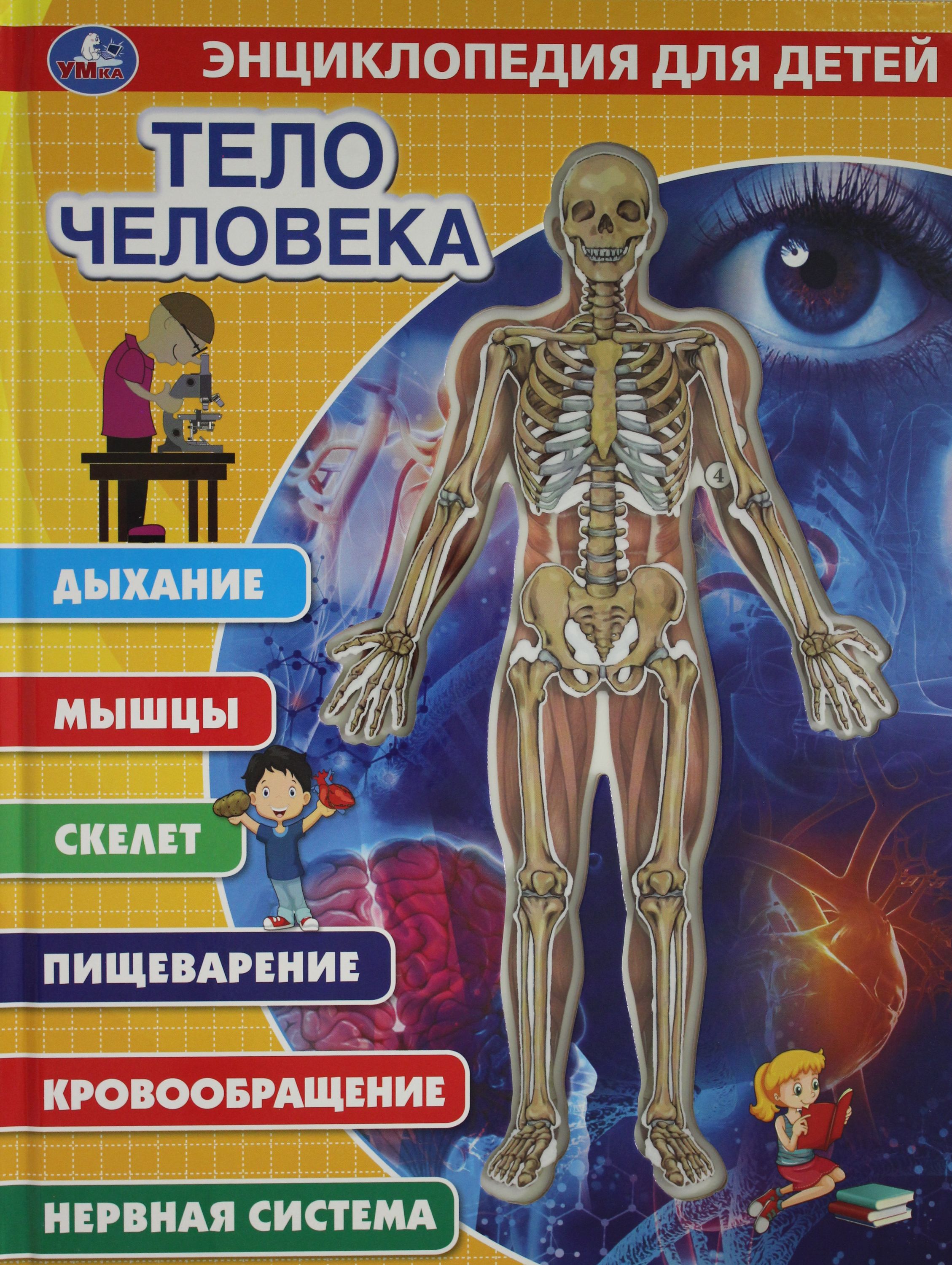 Энциклопедия для детей "Тело человека" Умка 