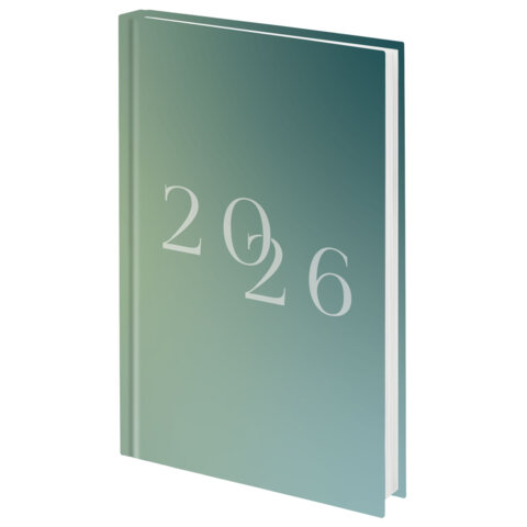 Ежедневник А5 2026г. Staff глянцевый "2026" 117323