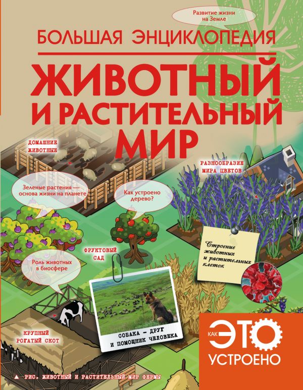 Энциклопедия большая  "Как это устроено. Животный и растительный мир", АСТ 093748