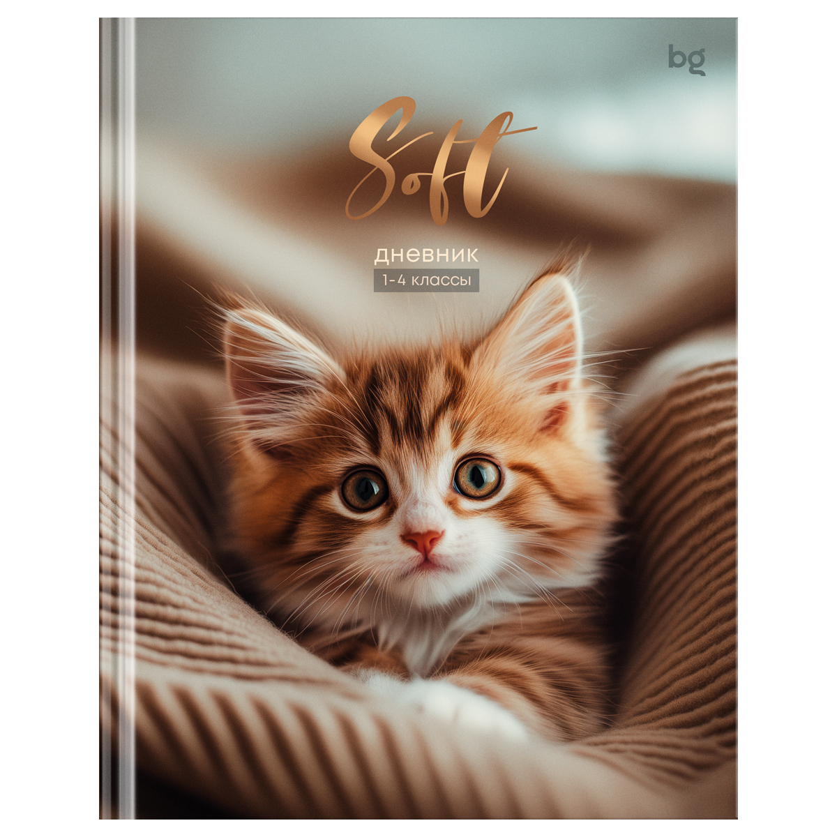 Дневник твердый БГ 1-4кл 