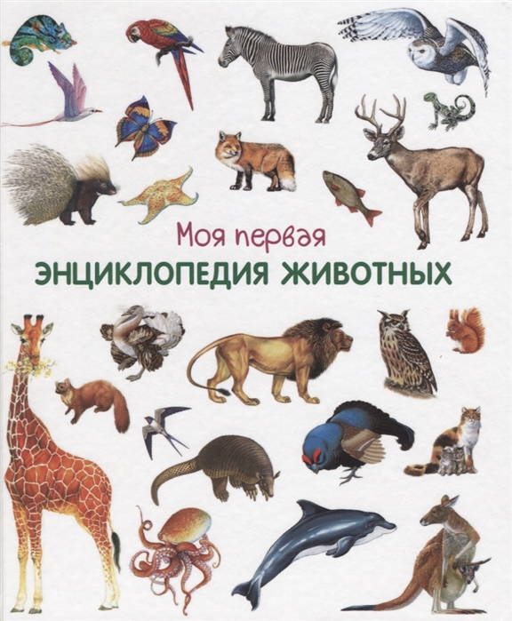 Энциклопедия Моя первая энциклопедия животных (Омега)